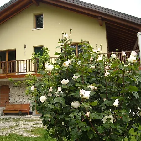 Il Girasole * Feltre