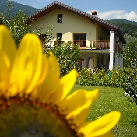 Bauernhof Il Girasole Feltre